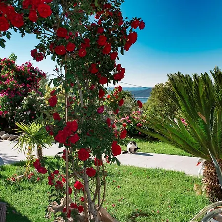 Sun Nest Villa Kastela