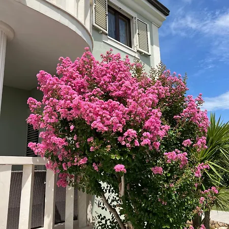 Sun Nest Villa *